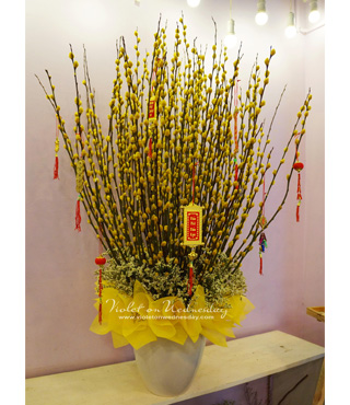 nu-tam-xuan nu-tam-xuan